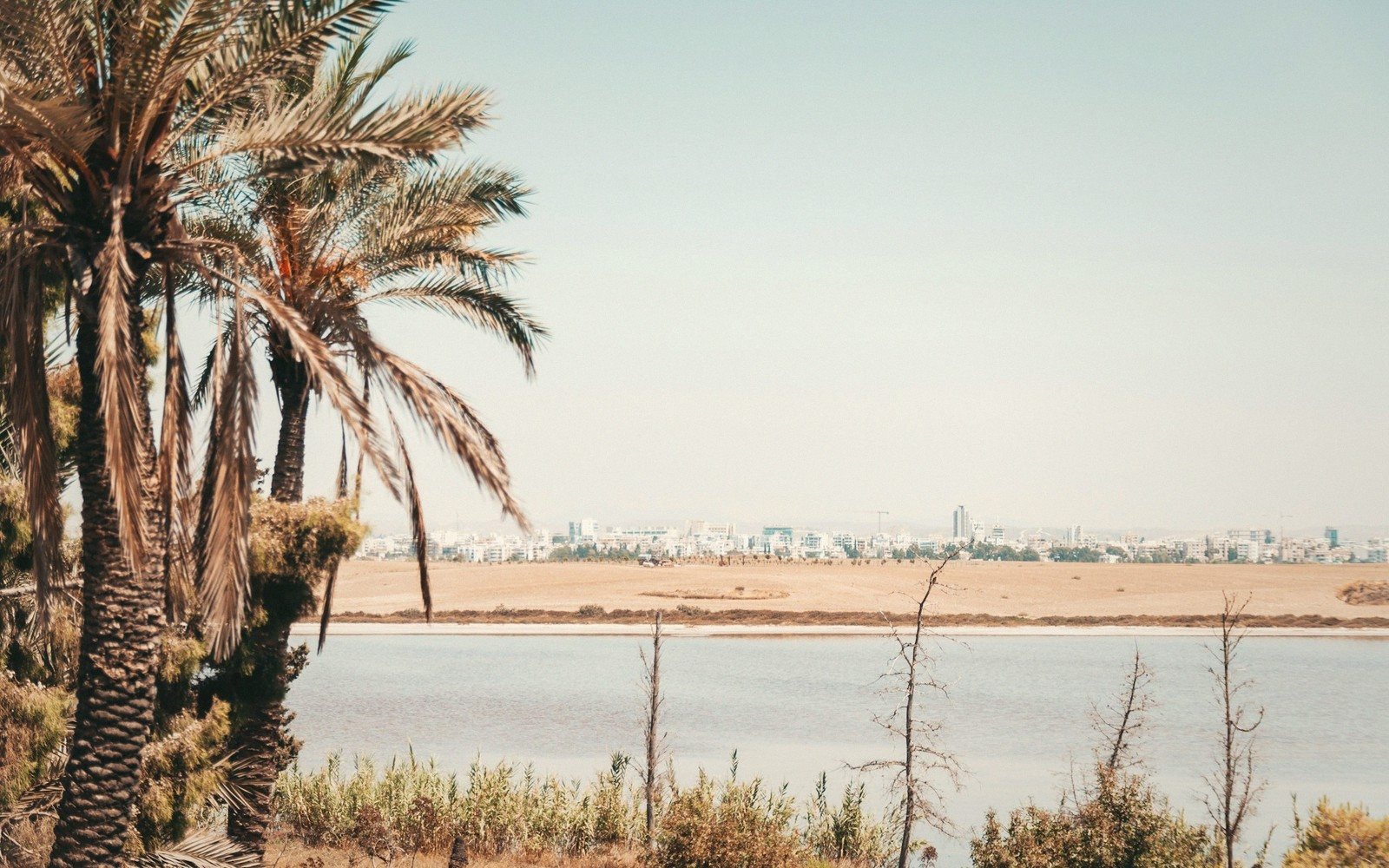 Siwa, Almost Libya