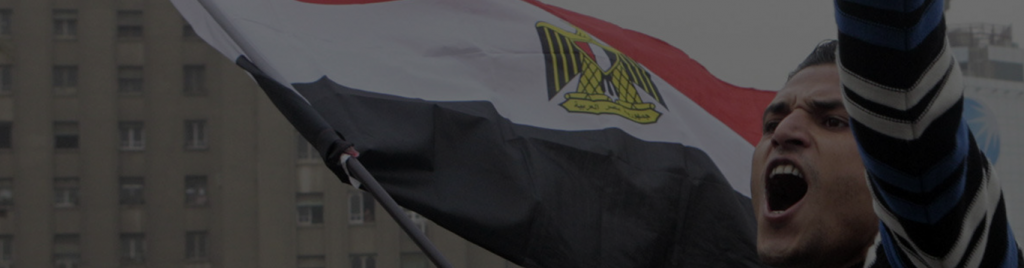 Liberalized Autocracy Defining Egypt's Politics
